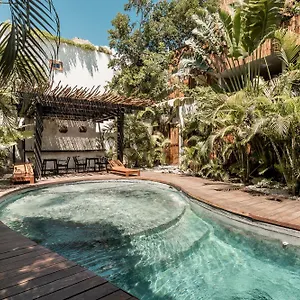 https://monet-free-beach-pass-bikes-private-pool-24hrs-security.allrivieramayahotels.com